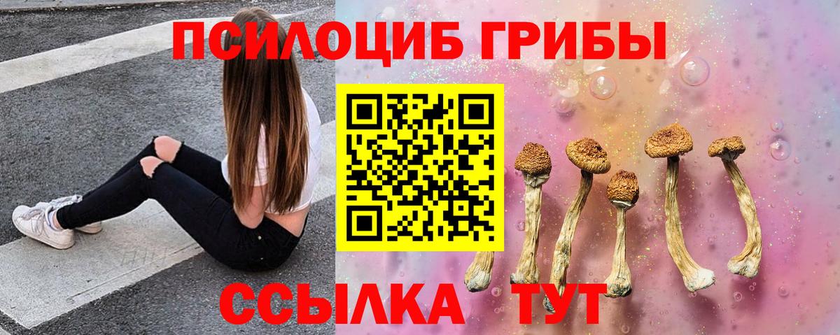 Кандалакша  Псилоцибиновые грибы Cubensis  Вход с VPN  Псилоцибиновые грибы прущие грибы 