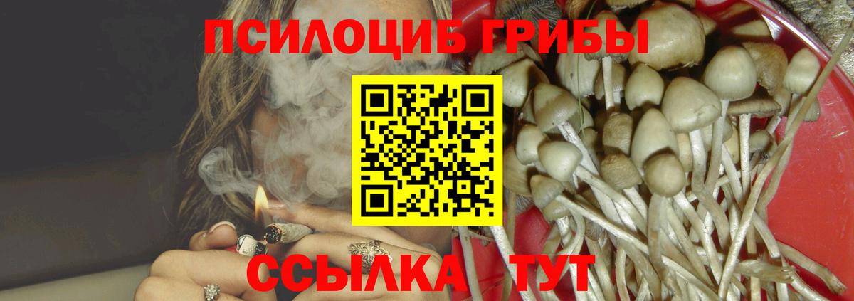 Псилоцибиновые грибы Psilocybe Кандалакша